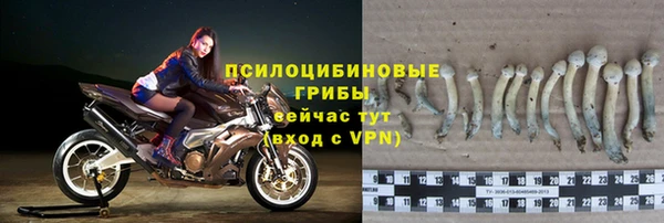каннабис Белокуриха