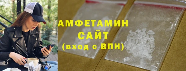 прущие грибы Балахна