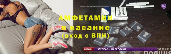 прущие грибы Балахна