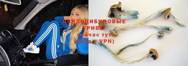 прущая мука Баксан