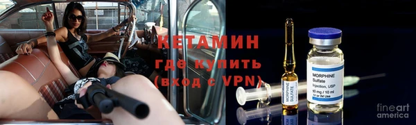 прущие грибы Балахна