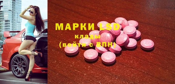 прущие грибы Балахна