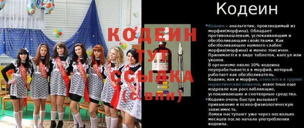 прущие грибы Балахна
